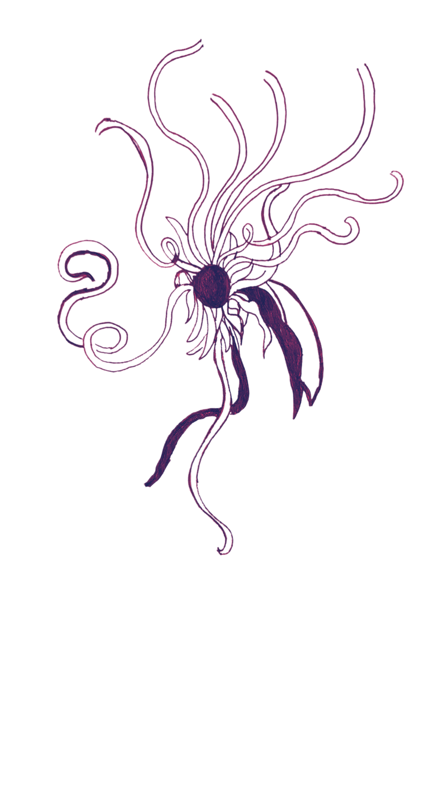 a purple octopus on a black background